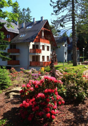 Отель Apartamenty Rezydencja Pod Świerkami - Sun Seasons 24, Карпач